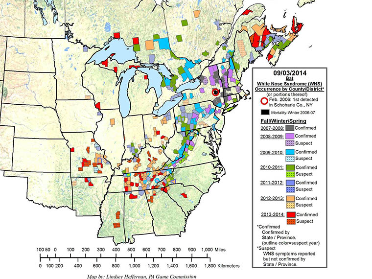 WNS Map 2014